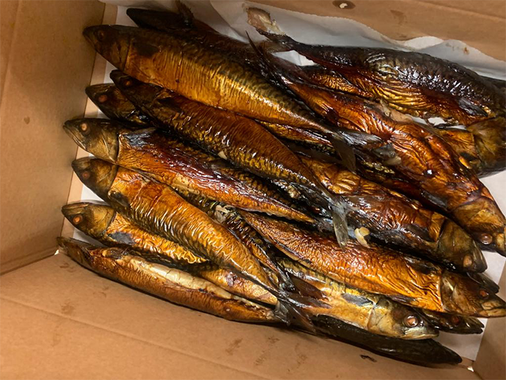 mackerel small